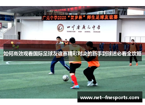 如何高效观看国际足球友谊赛精彩对决的新手到球迷必看全攻略