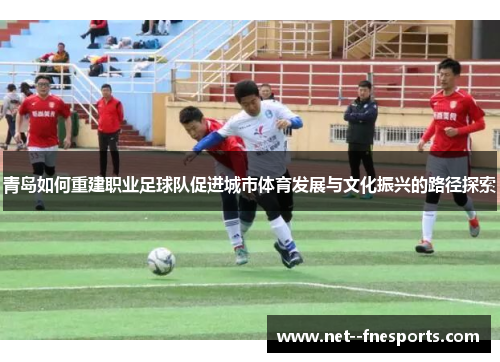 青岛如何重建职业足球队促进城市体育发展与文化振兴的路径探索